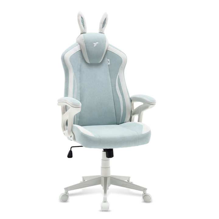 TTRacing Duo V4 Air Threads Fabric Gaming Chair - BunnyBliss